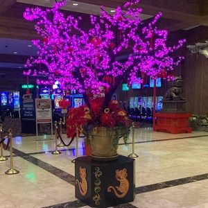 Meet your Posher, Rio